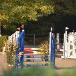 Concours de saut d’obstacles d’octobre 2025